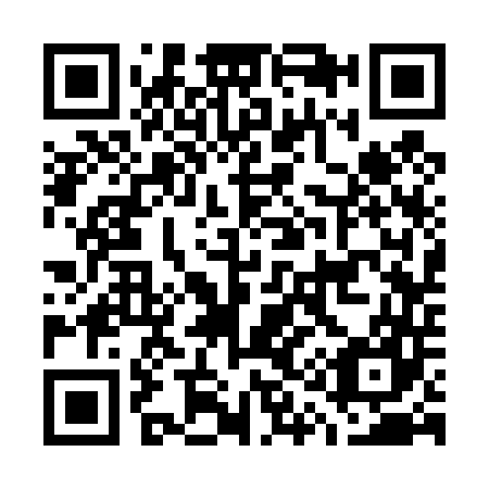 QR code for G13447