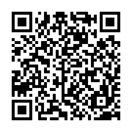 QR code for G13796