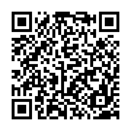 QR code for G13816