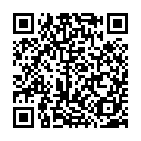 QR code for G13850
