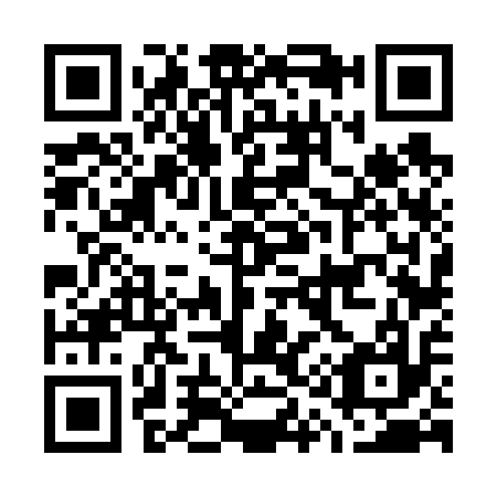 QR code for G16617