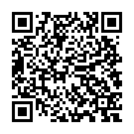 QR code for G16733