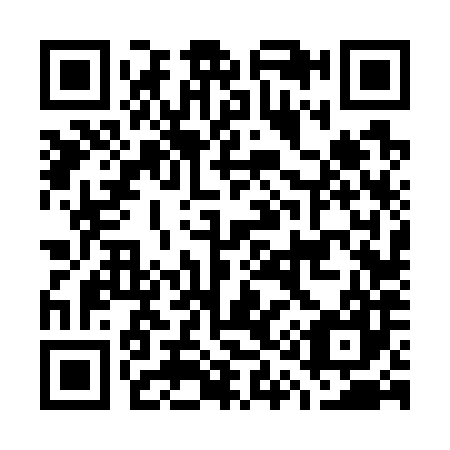 QR code for G16787