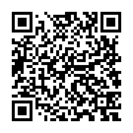 QR code for G16938