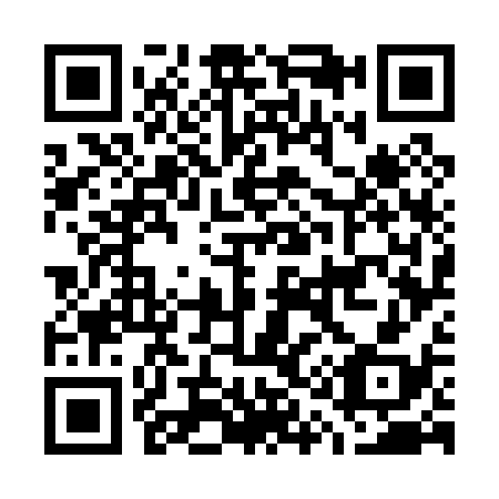 QR code for G17038