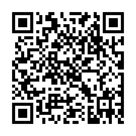 QR code for G17101