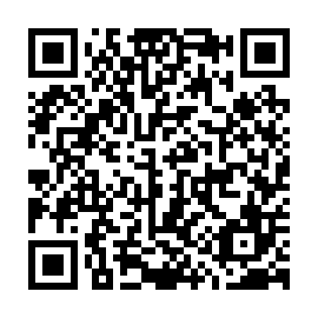 QR code for G17206