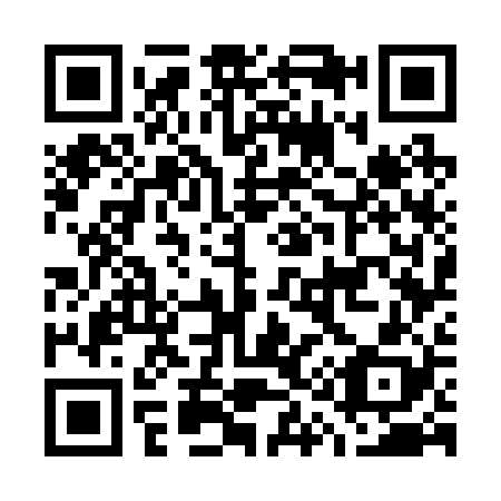 QR code for G17228