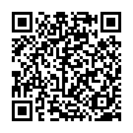 QR code for G17290