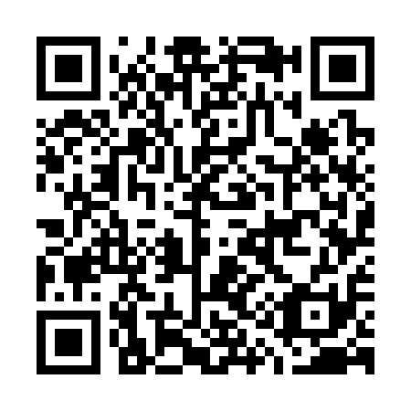 QR code for G17311