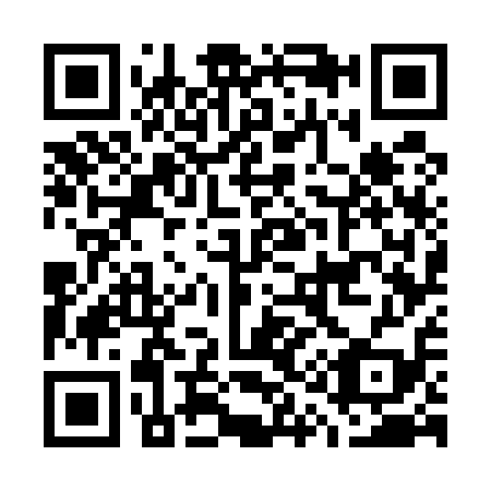 QR code for G17519