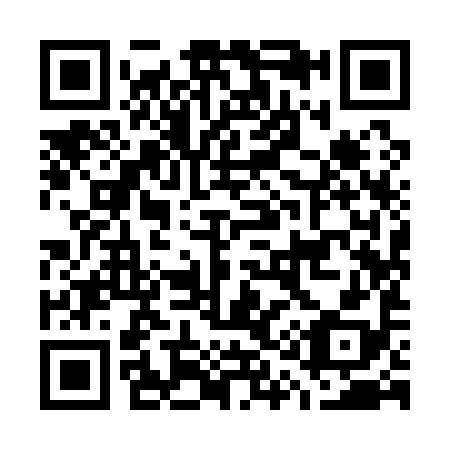 QR code for G19198