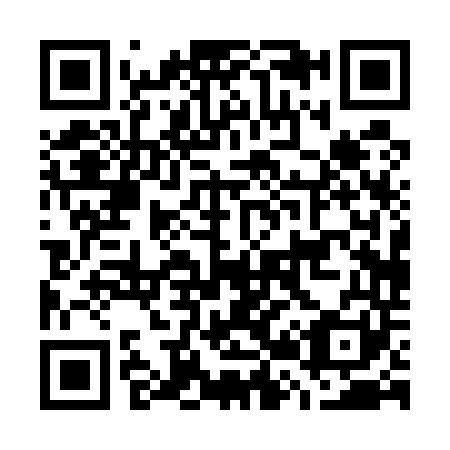 QR code for G20541