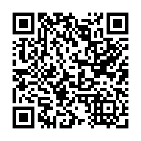 QR code for G22381