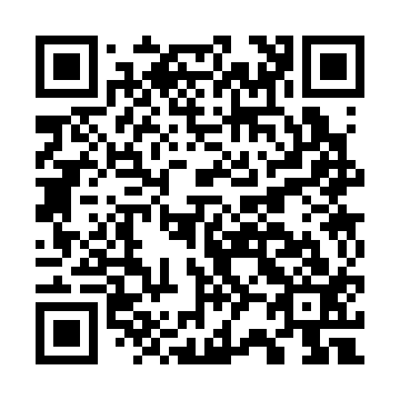 QR code for G23313