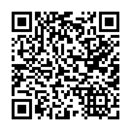 QR code for G25397