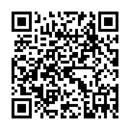 QR code for G28005