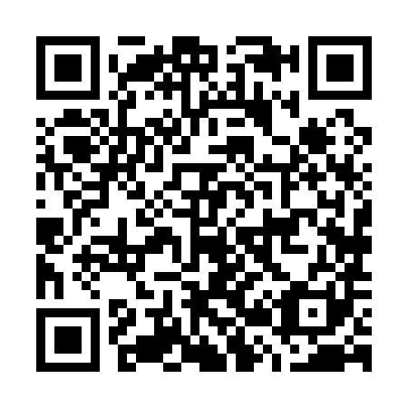 QR code for G28181