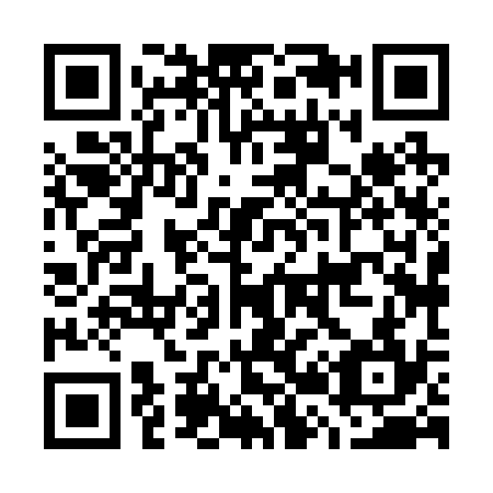 QR code for G28234