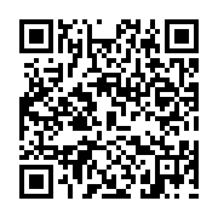 QR code for G28315