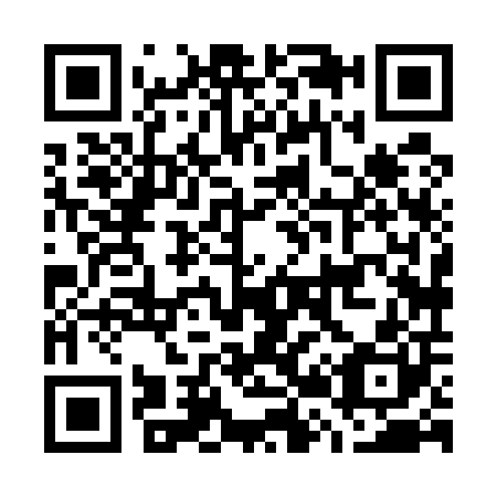 QR code for G28500