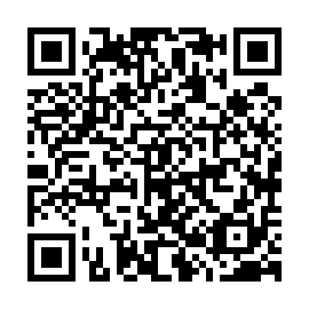 QR code for G28510