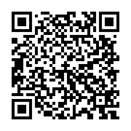 QR code for G28519
