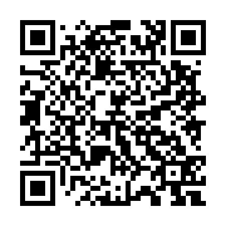 QR code for G28533