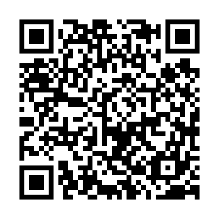 QR code for G28677