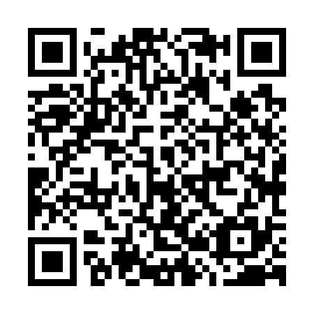 QR code for G28735