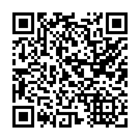 QR code for G28879