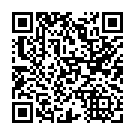 QR code for G28991