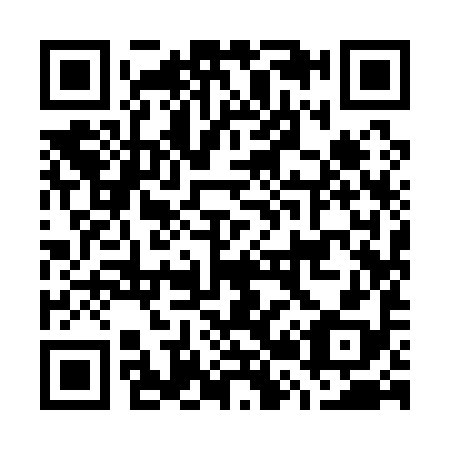 QR code for G29198
