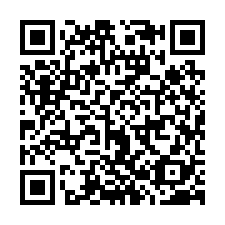 QR code for G29228