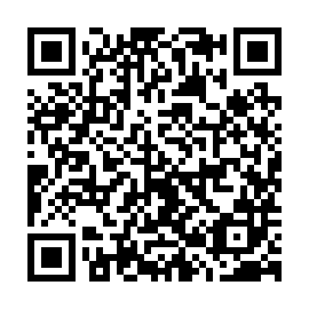 QR code for G29282