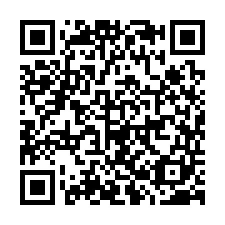 QR code for G29341