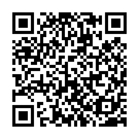 QR code for G29411