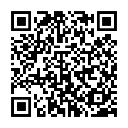 QR code for G29420