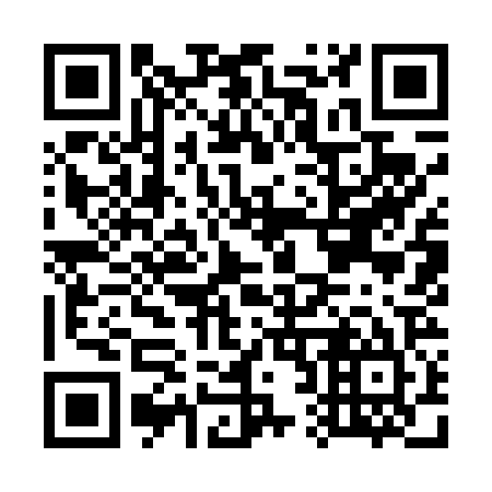QR code for G29425