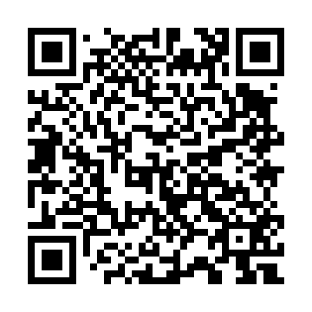 QR code for G29452