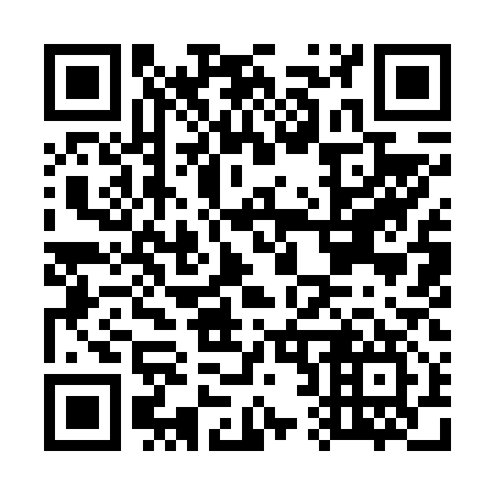 QR code for G29617