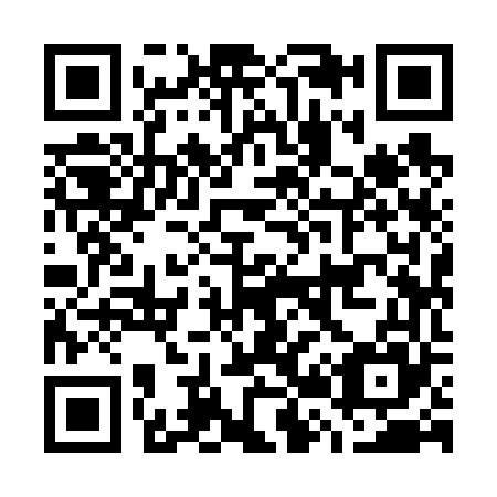 QR code for G29665