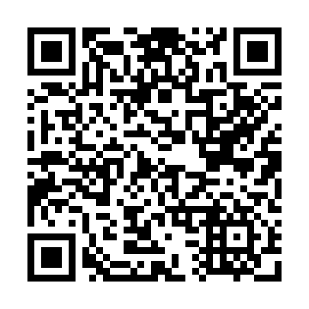 QR code for G30317