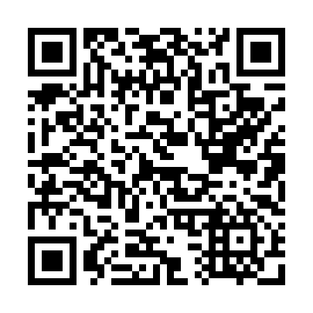 QR code for G30497