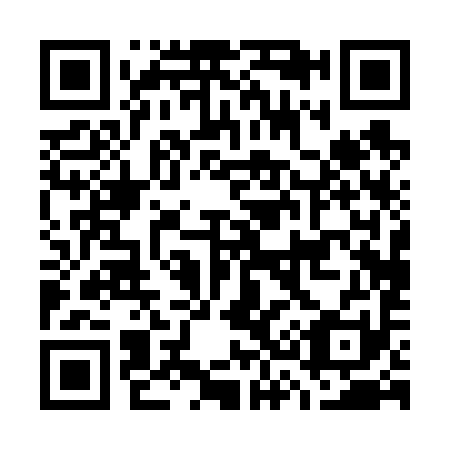 QR code for G30691