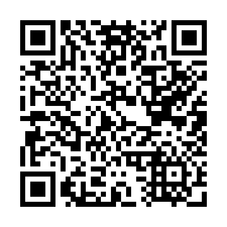 QR code for G31336