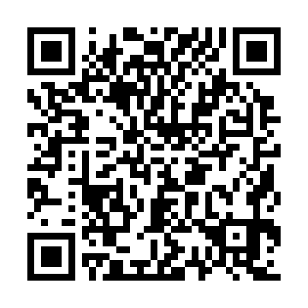 QR code for G31371