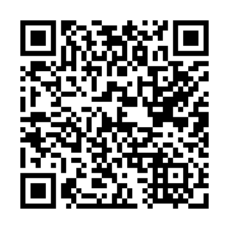 QR code for G31911