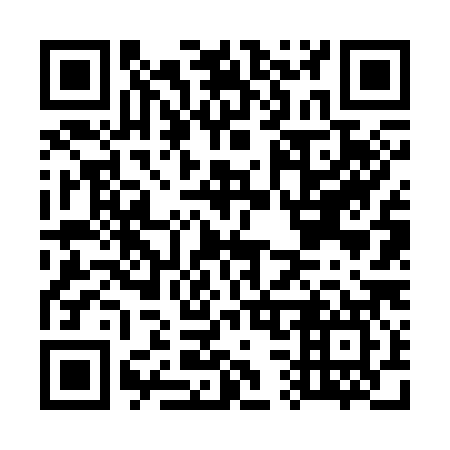 QR code for G36387