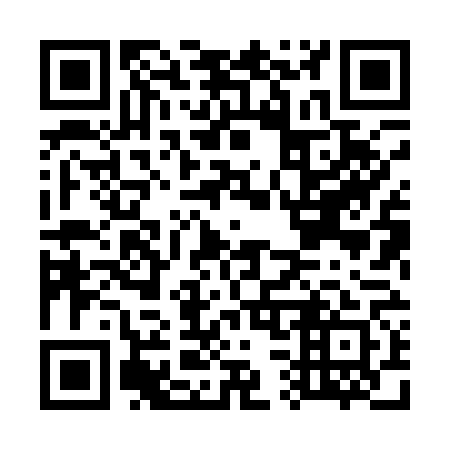 QR code for G38161